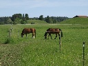Sommerbilder